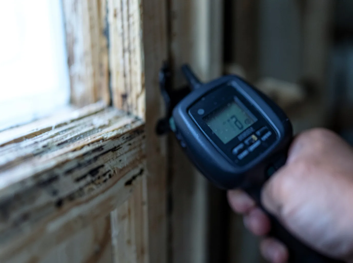Moisture Inspection And Documentation in Iona, ID
